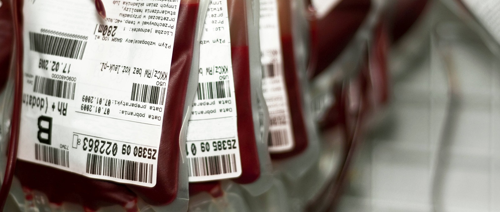 Desconto de 50% em taxas de concurso para doadores de sangue