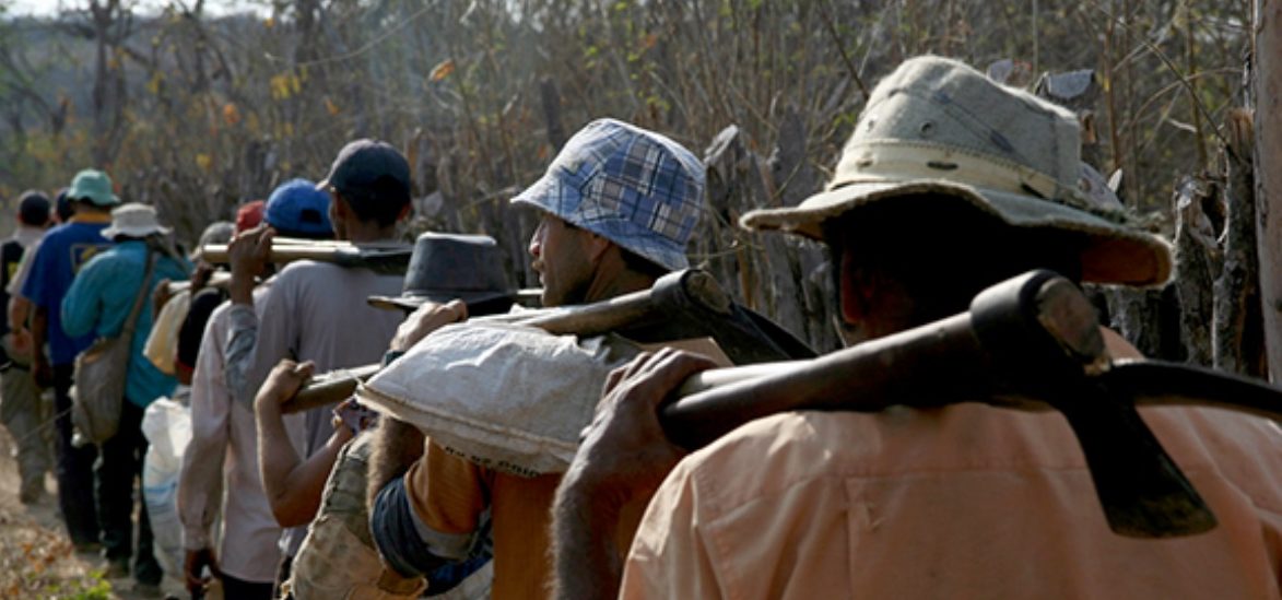 Ações de combate ao trabalho escravo estão ameaçadas